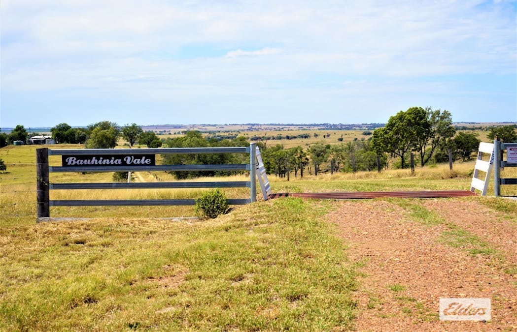 2828 Grosmont Road, Wandoan, QLD, 4419 - Image 6