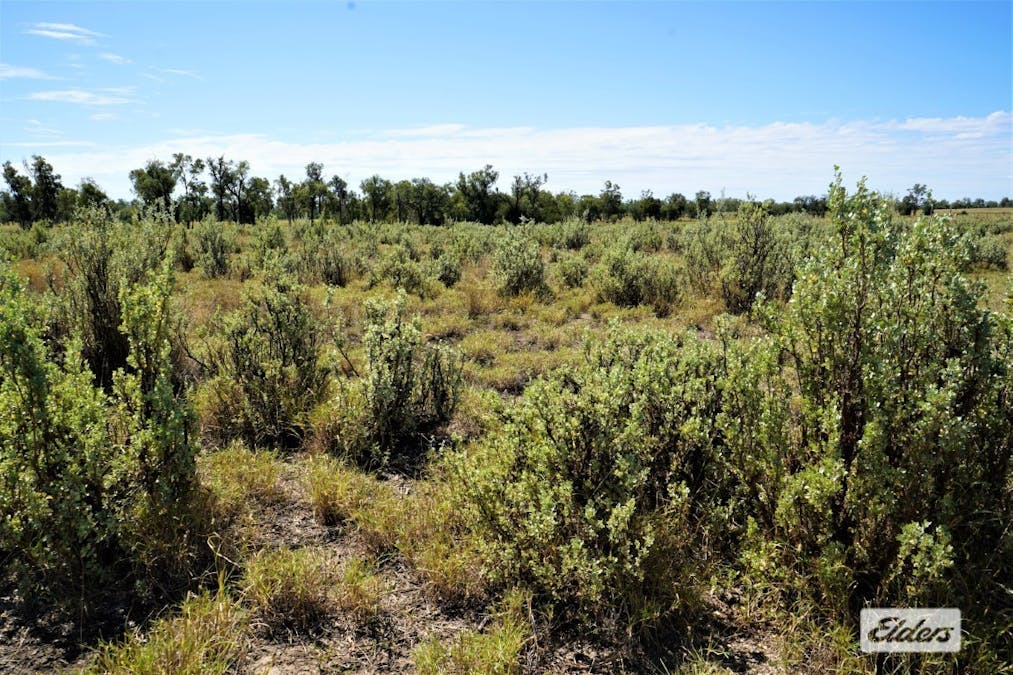 2828 Grosmont Road, Wandoan, QLD, 4419 - Image 13