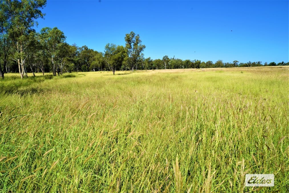 2828 Grosmont Road, Wandoan, QLD, 4419 - Image 9