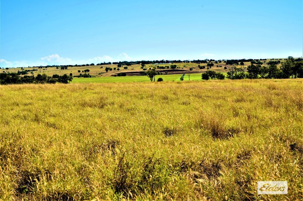 2828 Grosmont Road, Wandoan, QLD, 4419 - Image 8