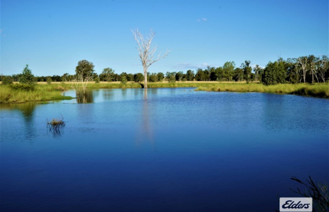 2828 Grosmont Road, Wandoan, QLD, 4419 - Image 18