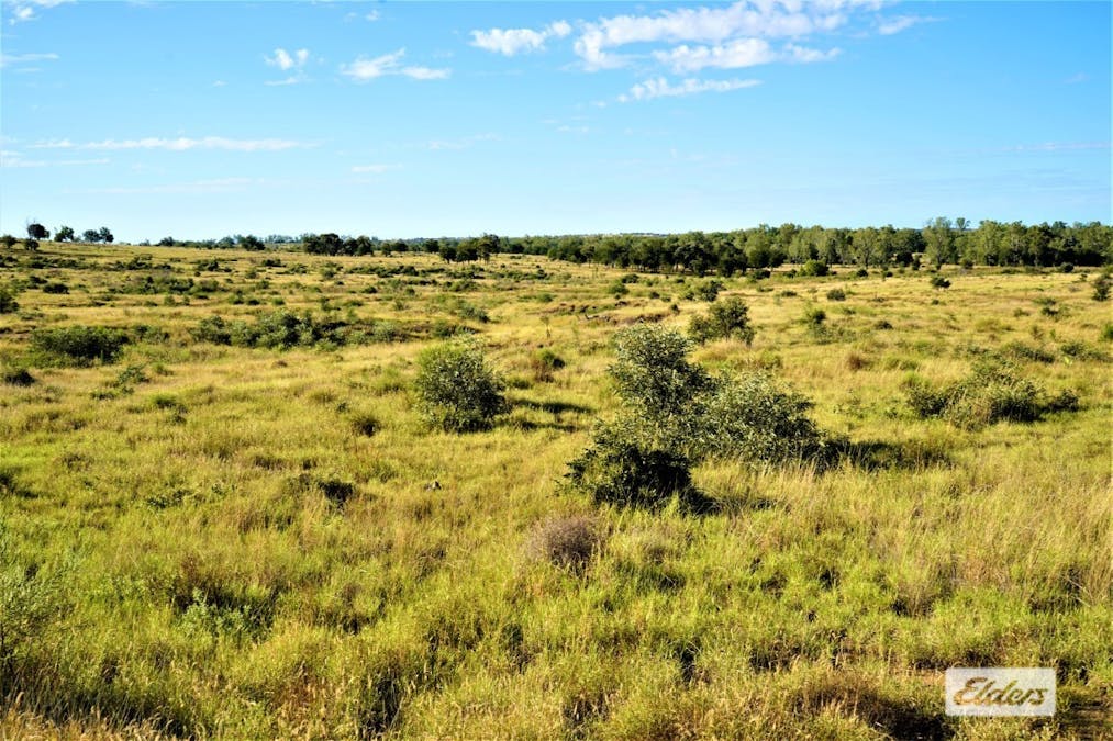 2828 Grosmont Road, Wandoan, QLD, 4419 - Image 25