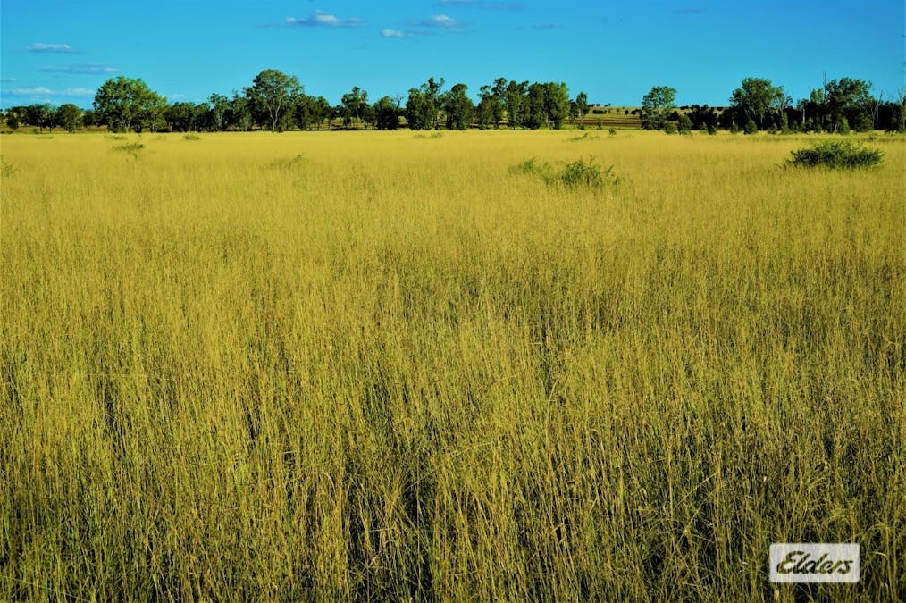 2828 Grosmont Road, Wandoan, QLD, 4419 - Image 17