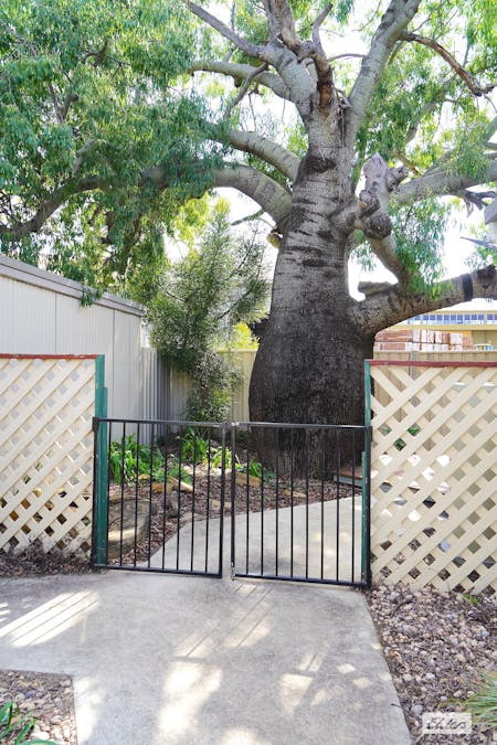 97 Charles Street, Roma, QLD, 4455 - Image 30