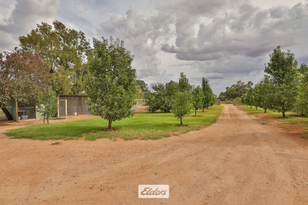 7 Drovers Drive, Gol Gol, NSW, 2738 - Image 3