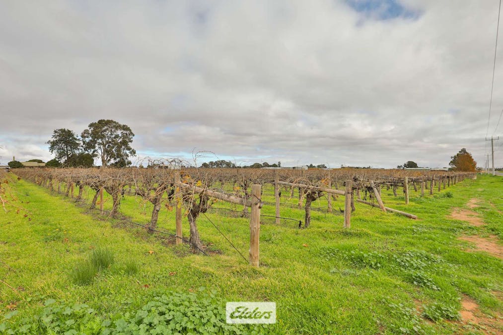 Lot 1/89 Twentieth Street, Cardross, VIC, 3496 - Image 19