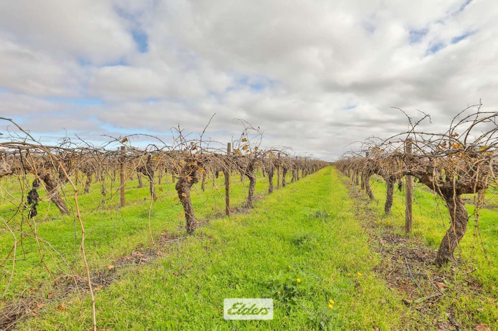 Lot 1/89 Twentieth Street, Cardross, VIC, 3496 - Image 20