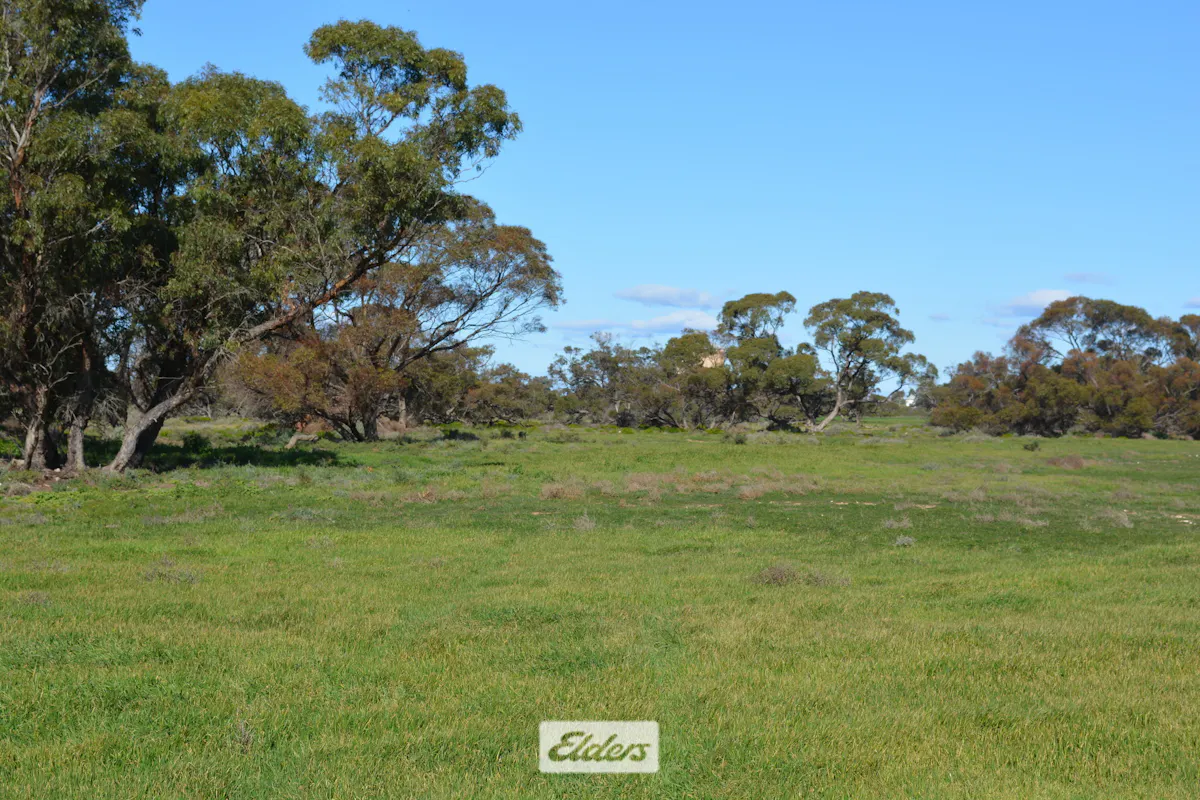 9 Mallee Highway, Cowangie, VIC, 3506 Sold Elders Real Estate