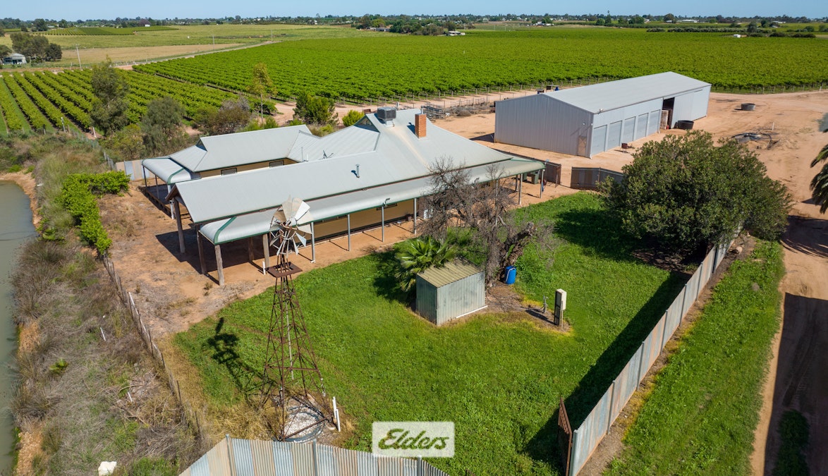 162 Scout Hall Road, Red Cliffs, VIC, 3496 - Image 9