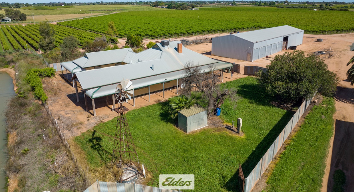 162 Scout Hall Road, Red Cliffs, VIC, 3496 - Image 9