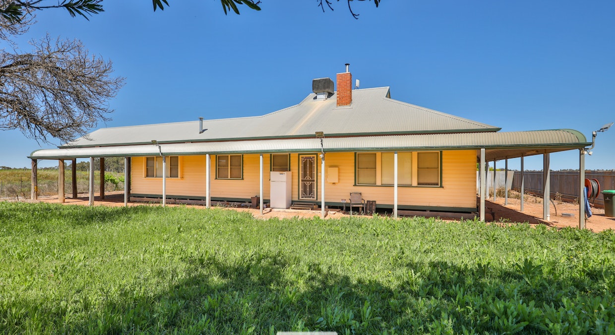 162 Scout Hall Road, Red Cliffs, VIC, 3496 - Image 8