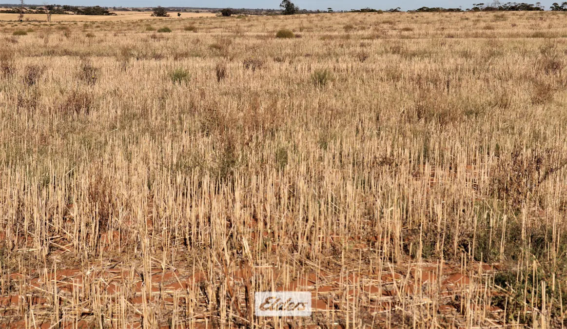 Lot 60 Bambill North Road, Werrimull, VIC, 3496 - Image 26