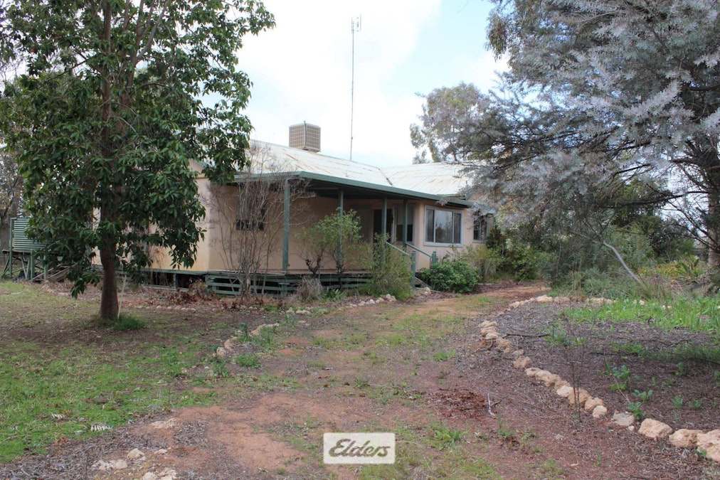 8634 Murray Valley Highway, Boundary Bend, VIC, 3599 - Image 4