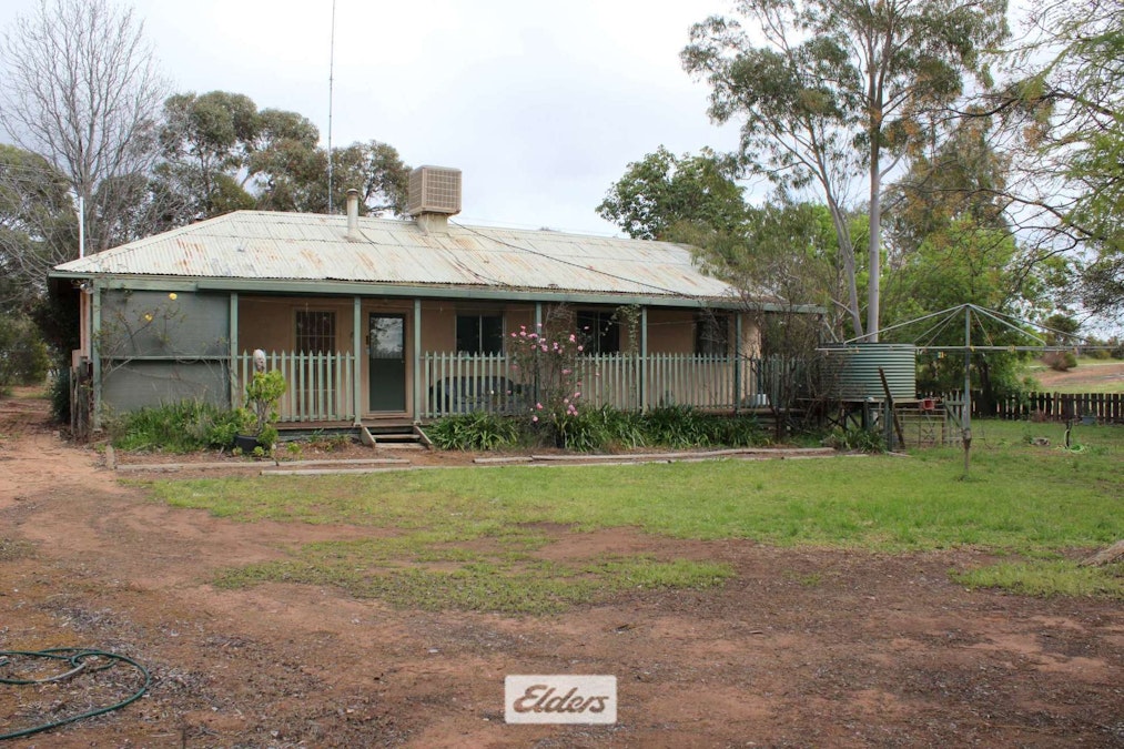 8634 Murray Valley Highway, Boundary Bend, VIC, 3599 - Image 6
