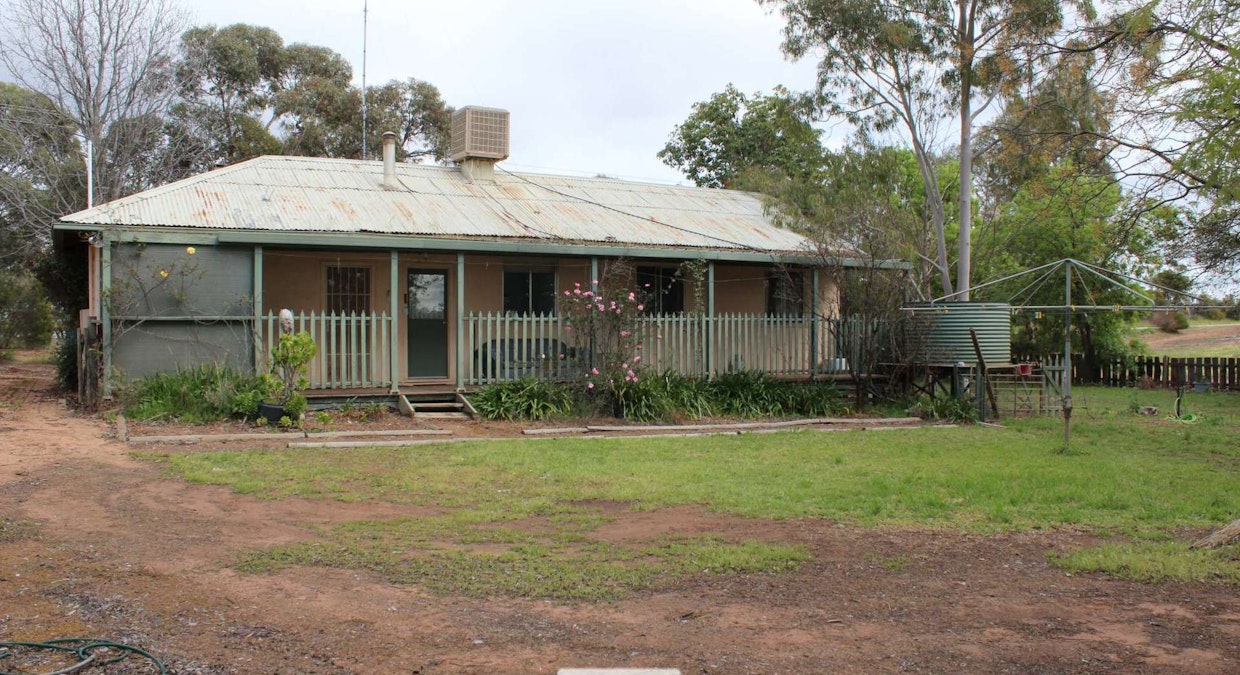 8634 Murray Valley Highway, Boundary Bend, VIC, 3599 - Image 6