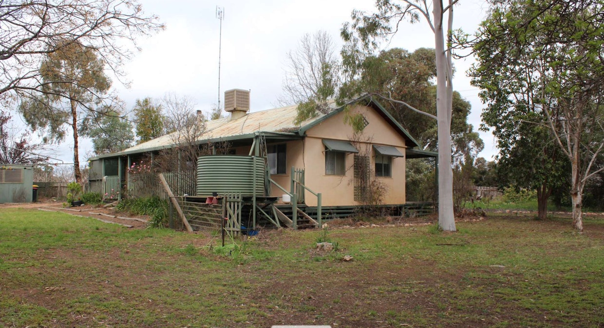 8634 Murray Valley Highway, Boundary Bend, VIC, 3599 - Image 19