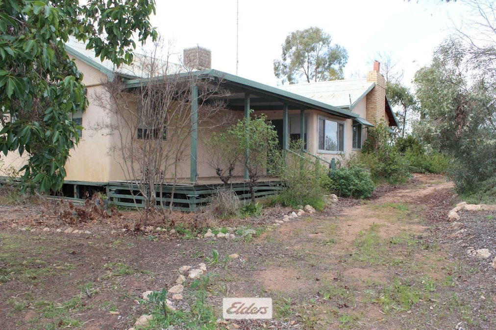 8634 Murray Valley Highway, Boundary Bend, VIC, 3599 - Image 25