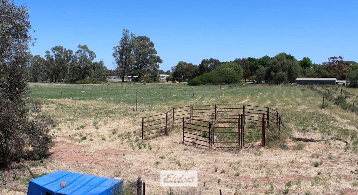 15 Murray Valley Highway, Boundary Bend, VIC, 3599 - Image 14