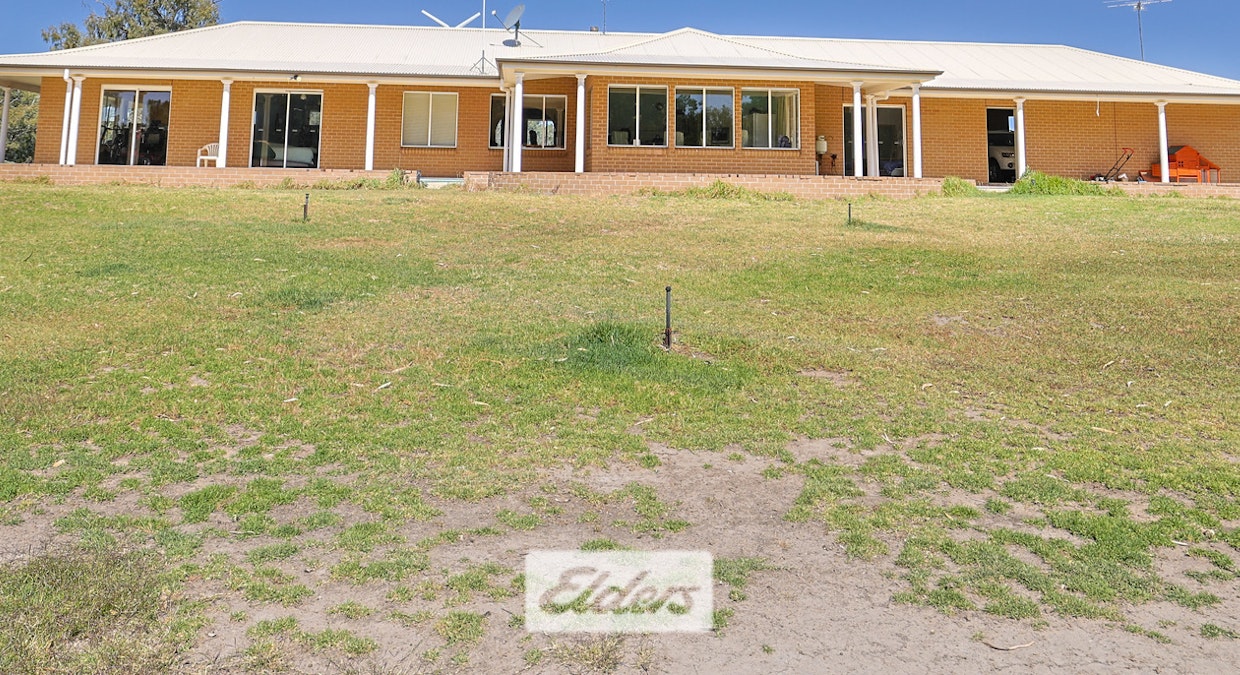 1517A Pooncarie Road, Wentworth, NSW, 2648 - Image 6