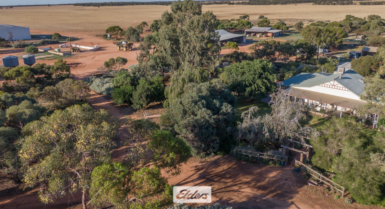 1468 Werrimull South Road, Werrimull, VIC, 3496 - Image 2