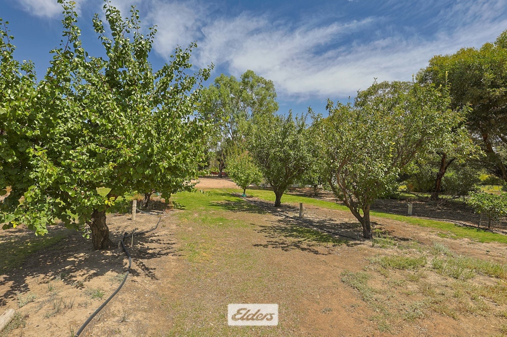 2079 Pooncarie Road, Wentworth, NSW, 2648 - Image 12