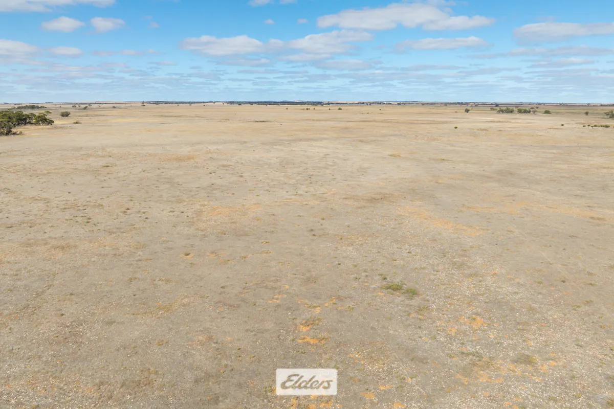 15/Mallee Highway, Cowangie, VIC, 3506 For Sale Elders Real Estate