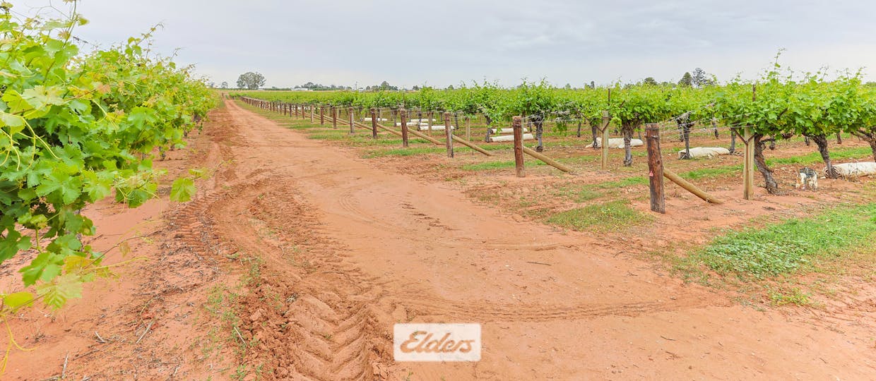 5 Murray Avenue, Red Cliffs, VIC, 3496 - Image 24