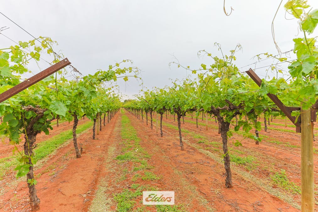 5 Murray Avenue, Red Cliffs, VIC, 3496 - Image 25