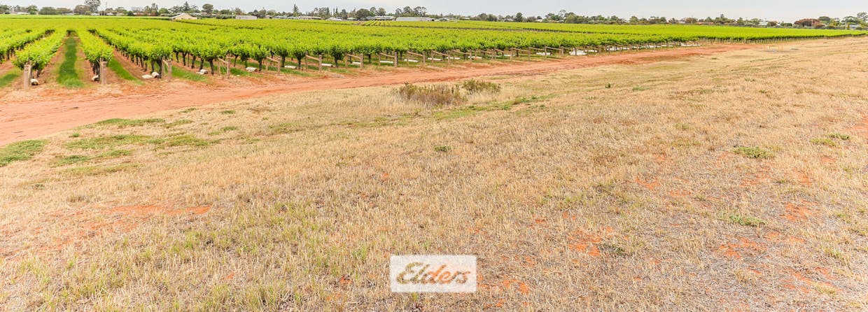 5 Murray Avenue, Red Cliffs, VIC, 3496 - Image 27