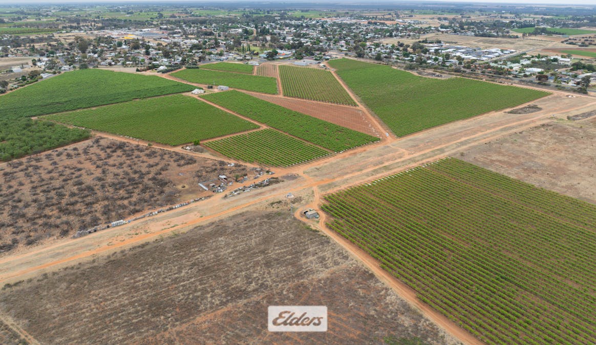 5 Murray Avenue, Red Cliffs, VIC, 3496 - Image 32
