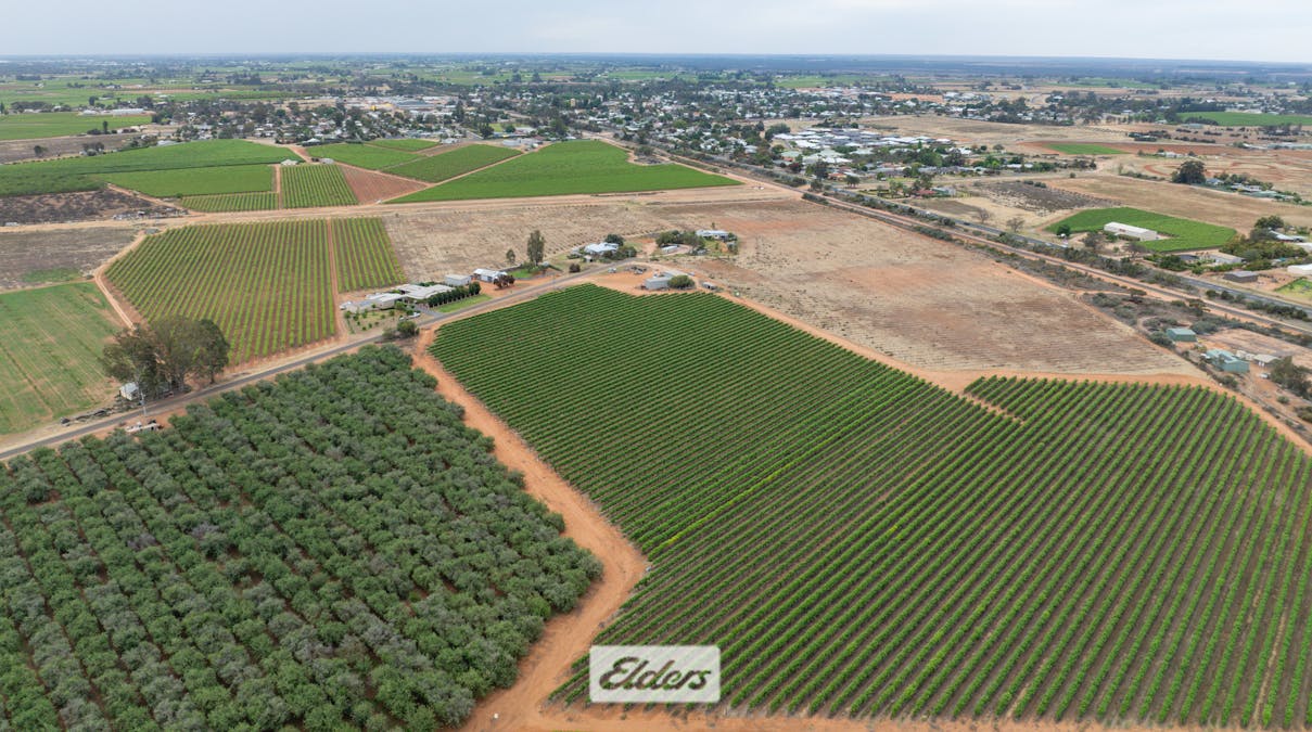 5 Murray Avenue, Red Cliffs, VIC, 3496 - Image 33