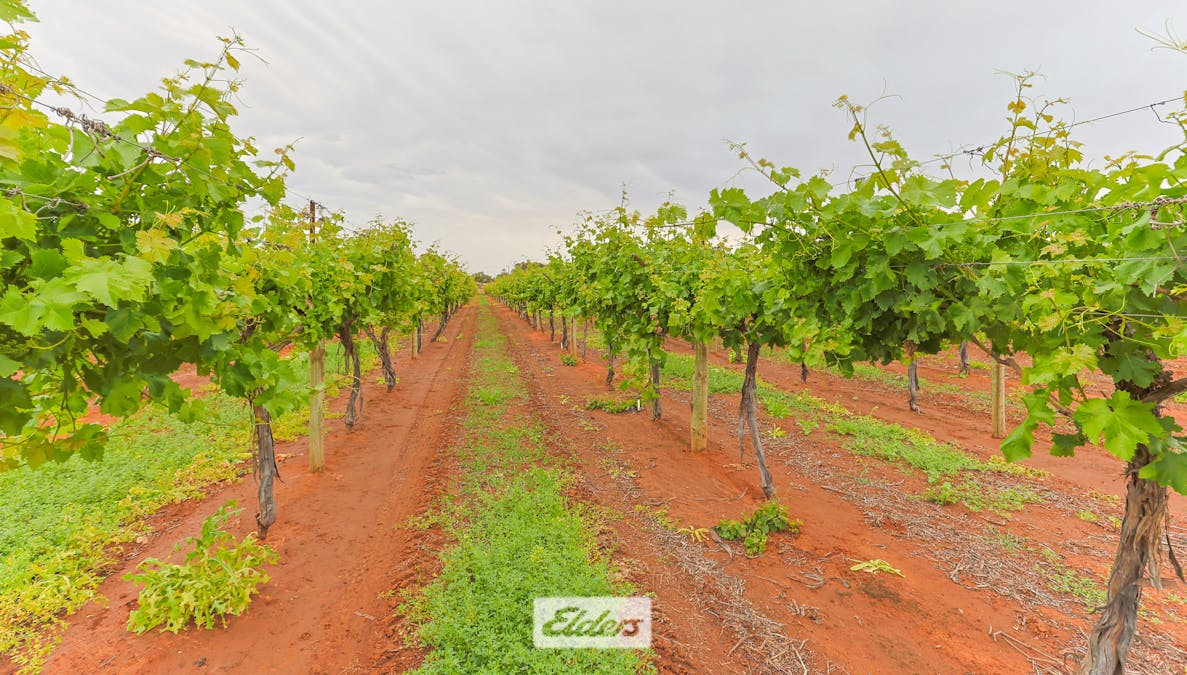 1011 Coorong Avenue, Red Cliffs, VIC, 3496 - Image 15