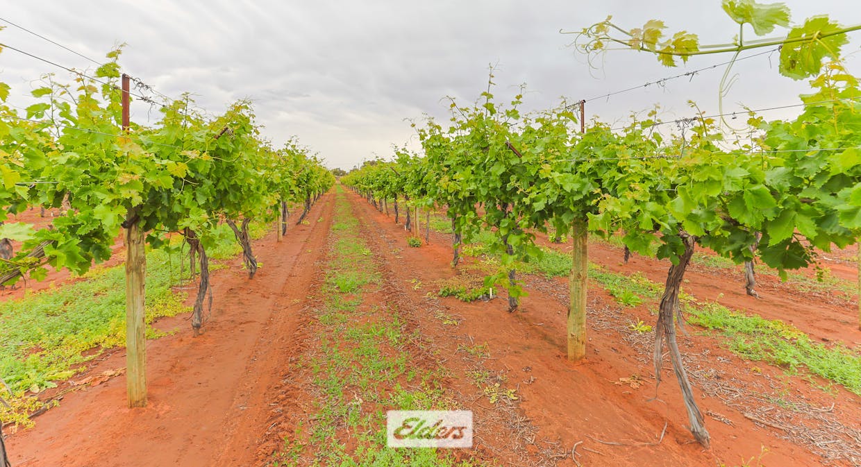 1011 Coorong Avenue, Red Cliffs, VIC, 3496 - Image 18