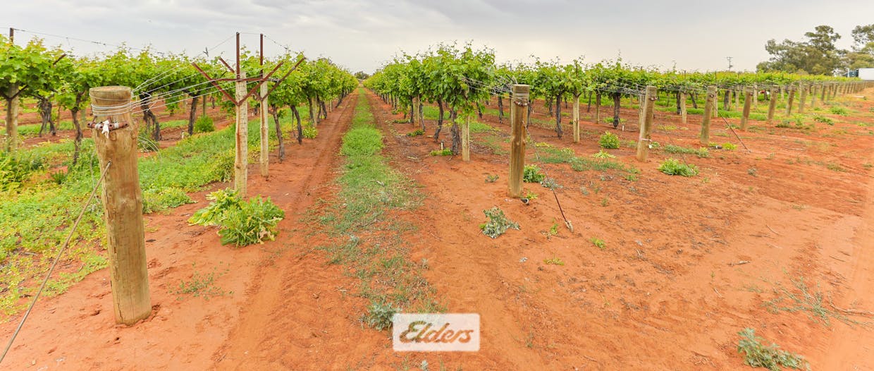 1011 Coorong Avenue, Red Cliffs, VIC, 3496 - Image 21
