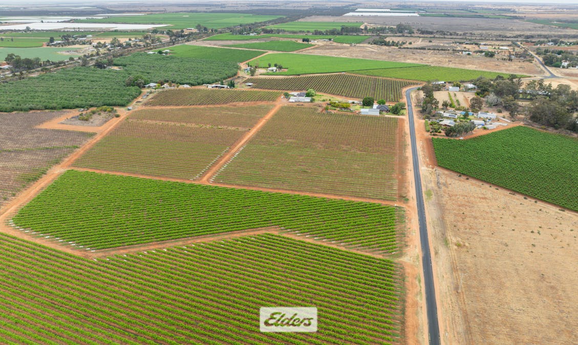 1011 Coorong Avenue, Red Cliffs, VIC, 3496 - Image 23