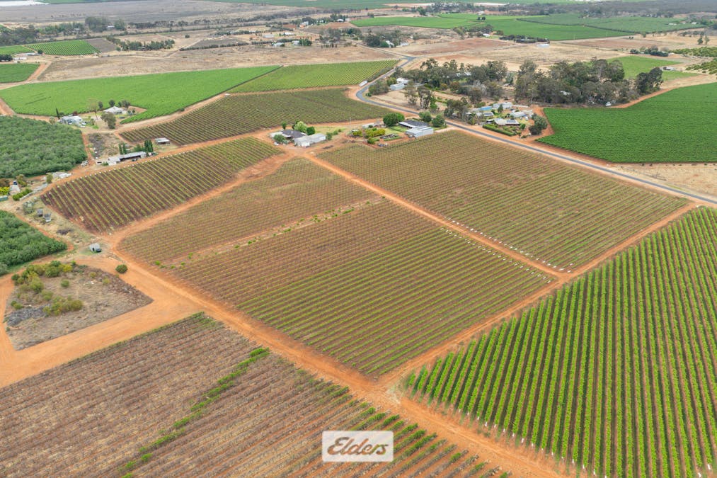 1011 Coorong Avenue, Red Cliffs, VIC, 3496 - Image 28