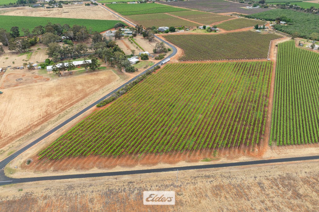 1011 Coorong Avenue, Red Cliffs, VIC, 3496 - Image 25