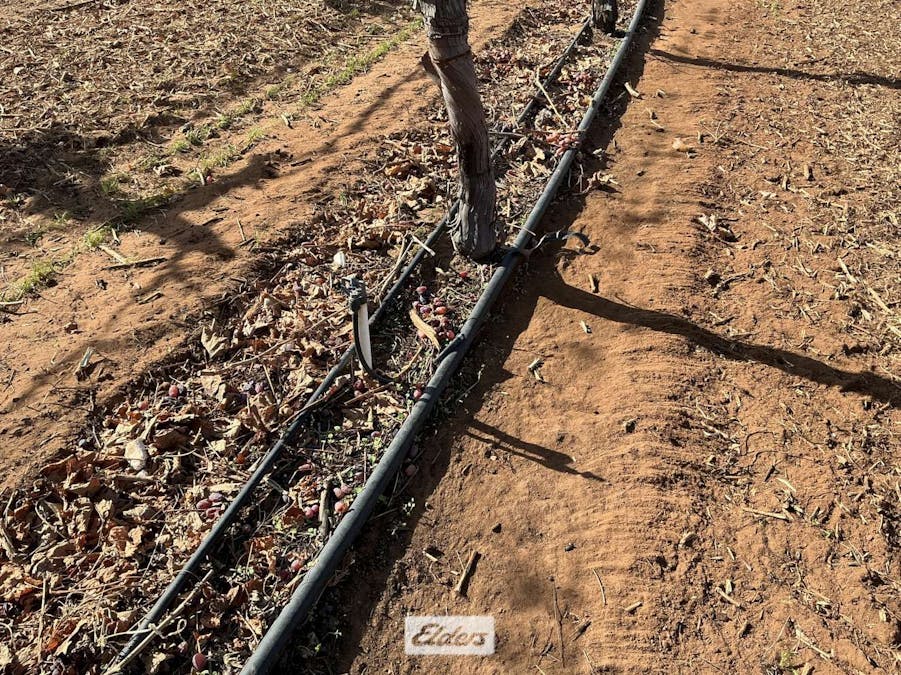178 Arumpo Road, Mourquong, NSW, 2739 - Image 7