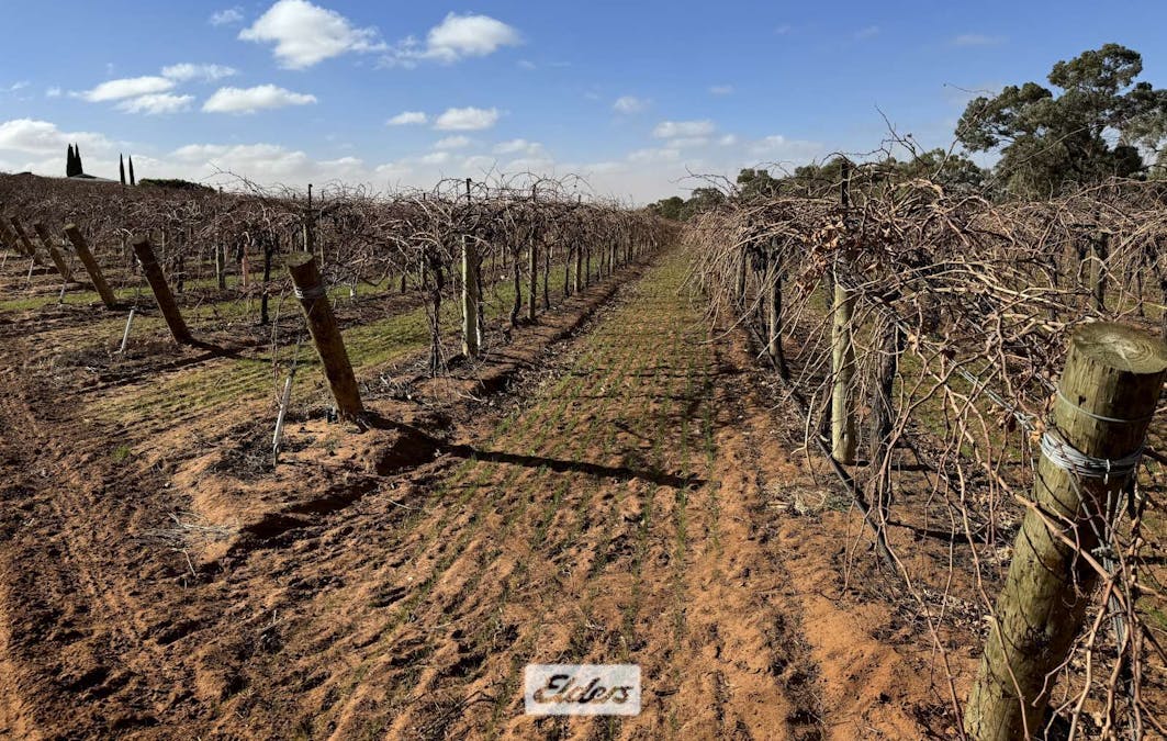 178 Arumpo Road, Mourquong, NSW, 2739 - Image 6