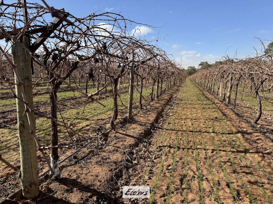 178 Arumpo Road, Mourquong, NSW, 2739 - Image 5