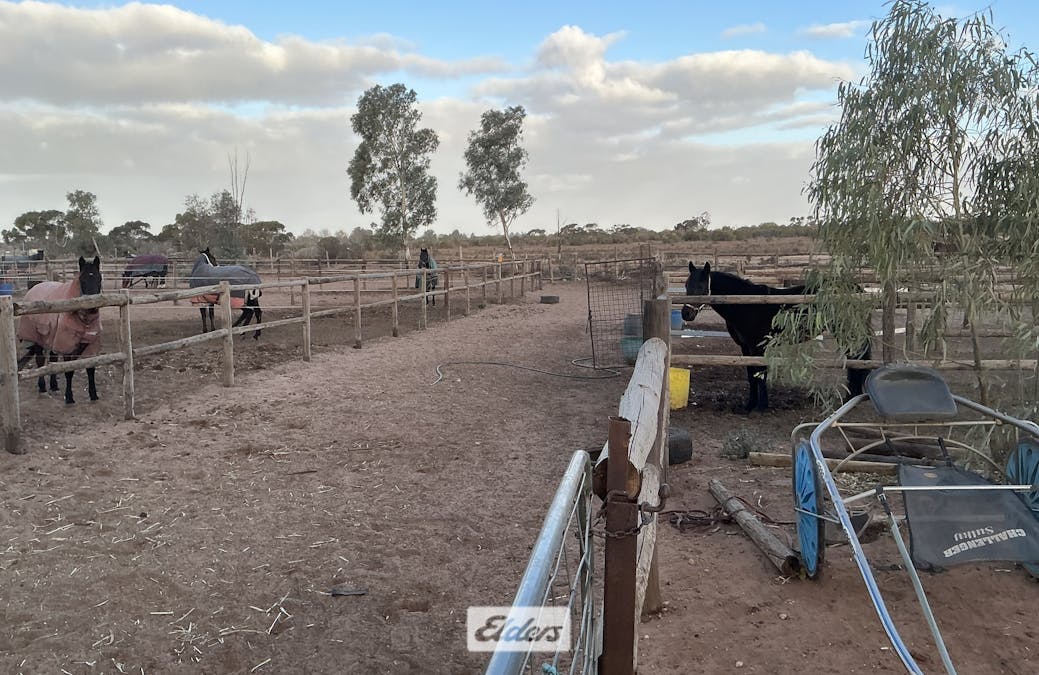 227 Nineteenth Street, Irymple, VIC, 3498 - Image 3
