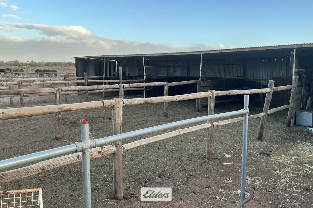 227 Nineteenth Street, Irymple, VIC, 3498 - Image 4
