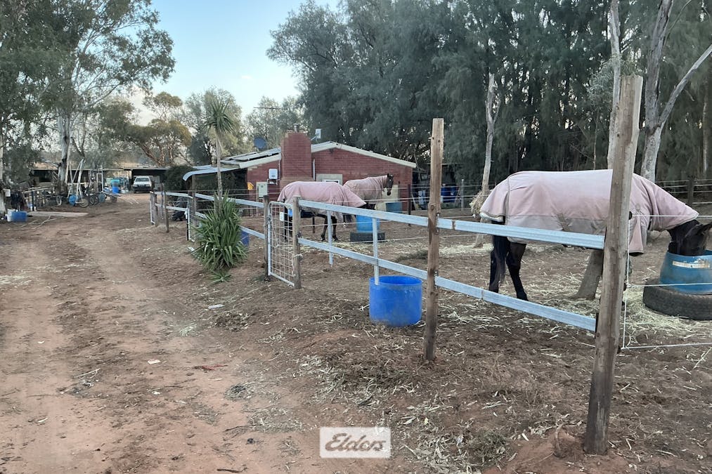 227 Nineteenth Street, Irymple, VIC, 3498 - Image 10