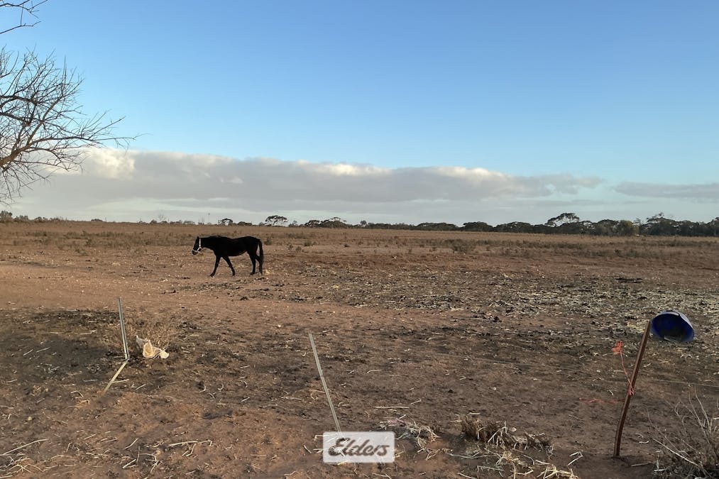 227 Nineteenth Street, Irymple, VIC, 3498 - Image 14