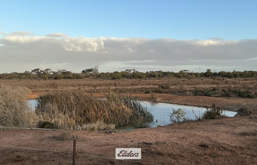 227 Nineteenth Street, Irymple, VIC, 3498 - Image 15