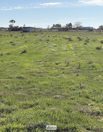 104 Piper Street, Balranald, NSW, 2715 - Image 1