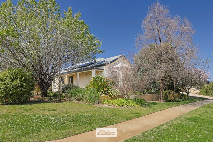 7 Drings Way, Gol Gol, NSW, 2738 - Image 1