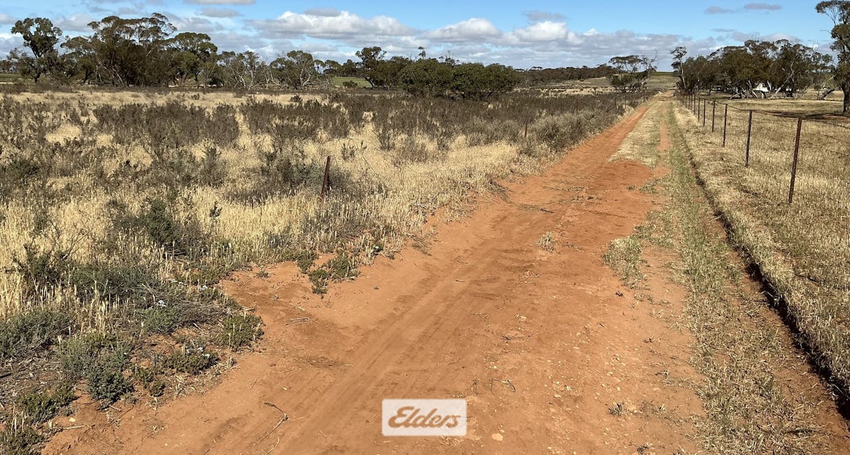 109 Underbool - Patchewollock Road, Underbool, VIC, 3509 - Image 31