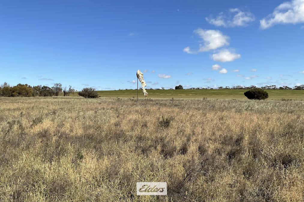 109 Underbool - Patchewollock Road, Underbool, VIC, 3509 - Image 23