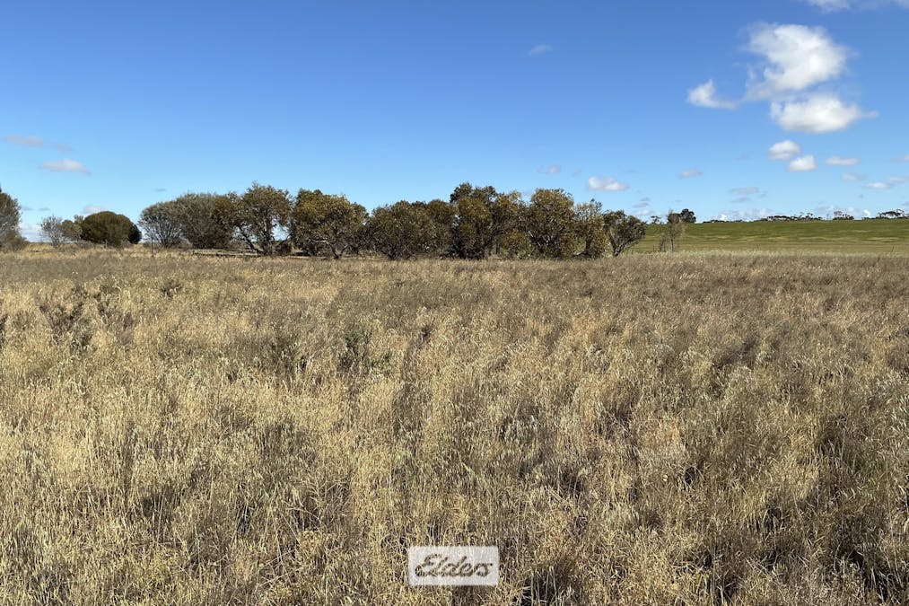 109 Underbool - Patchewollock Road, Underbool, VIC, 3509 - Image 27